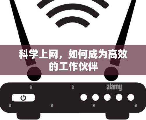 科学上网，如何成为高效的工作伙伴
