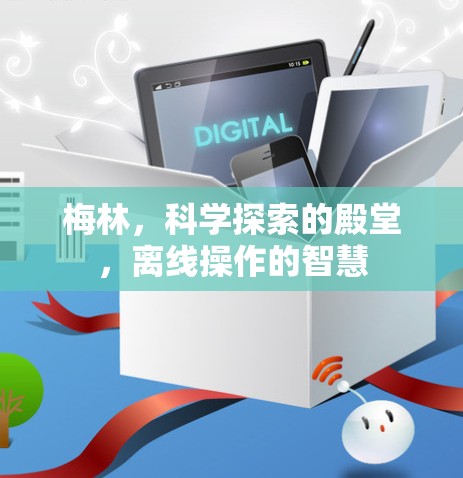 梅林,科学探索的殿堂,离线操作的智慧