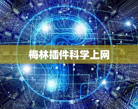 梅林插件科学上网
