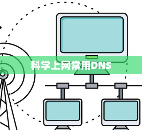 科学上网常用DNS
