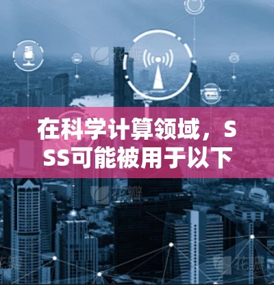 在科学计算领域,SSS可能被用于以下具体应用