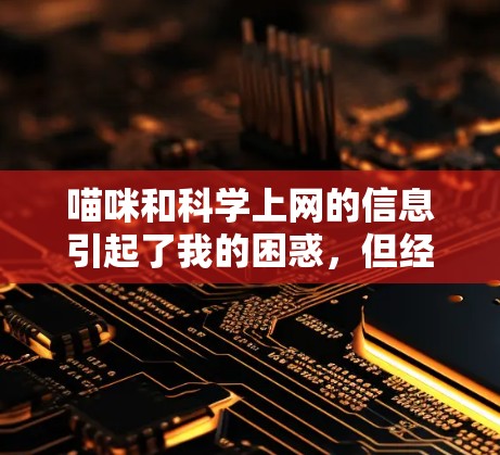 喵咪和科学上网的信息引起了我的困惑,但经过仔细思考,我得出以下结论 喵咪和科学上网的信息引起了我的困惑,但经过仔细思考,我得出以下结论