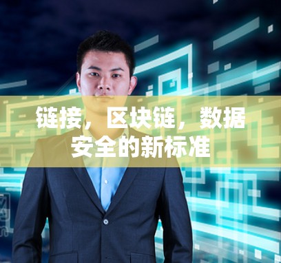 链接，区块链，数据安全的新标准