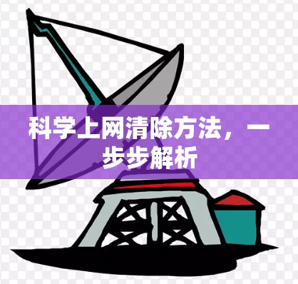 科学上网清除方法，一步步解析