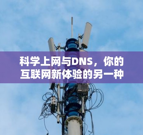 科学上网与DNS,你的互联网新体验的另一种挑战 科学上网与DNS,你的互联网新体验的另一种挑战