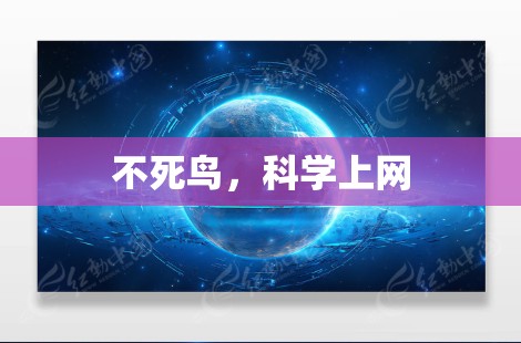 不死鸟，科学上网