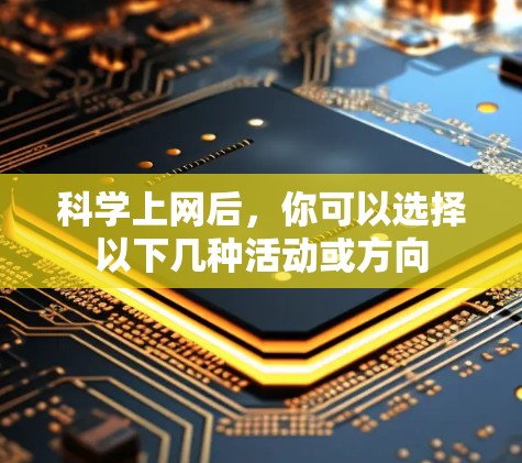 科学上网后，你可以选择以下几种活动或方向
