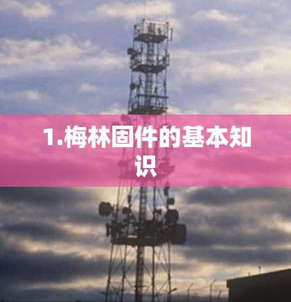 1.梅林固件的基本知识