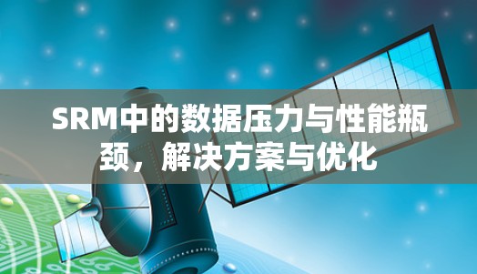 SRM中的数据压力与性能瓶颈，解决方案与优化