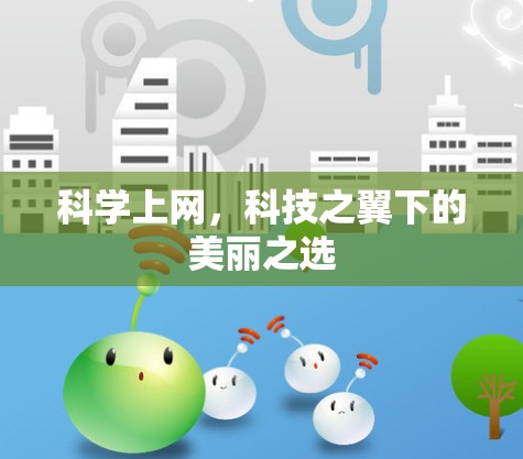 <strong>科学上网</strong>，科技之翼下的美丽之选
