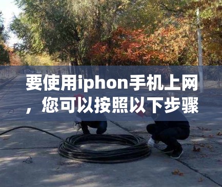 要使用iphon手机上网，您可以按照以下步骤操作