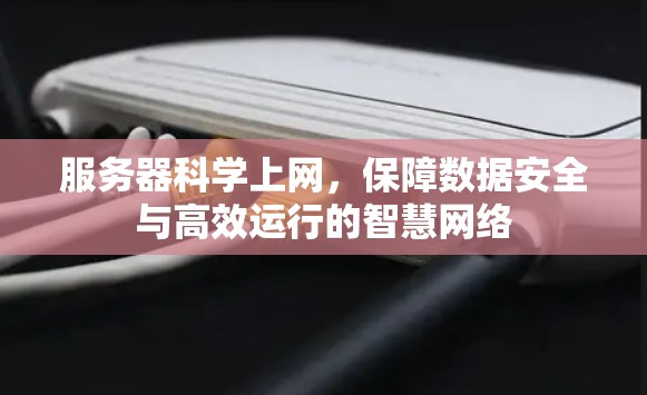 服务器<strong>科学上网</strong>,保障数据安全与高效运行的智慧网络