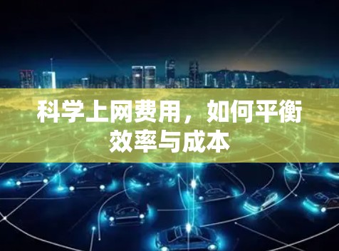 <strong>科学上网</strong>费用，如何平衡效率与成本