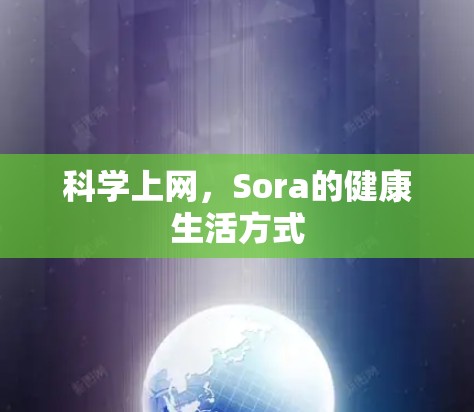 <strong>科学上网</strong>，Sora的健康生活方式