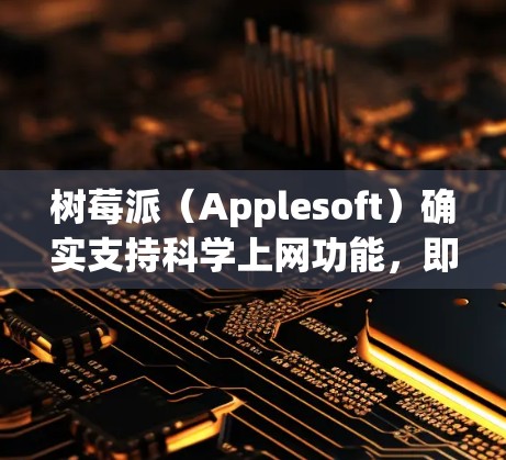 树莓派（Applesoft）确实支持<strong>科学上网</strong>功能，即通过它作为服务器来提供网络服务。以下是一些关于树莓派<strong>科学上网</strong>的详细步骤和信息