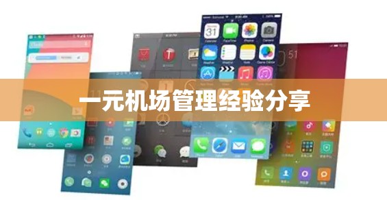 一元机场管理经验分享 一元机场管理经验分享