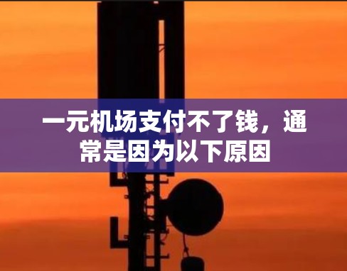 一元机场支付不了钱,通常是因为以下原因 一元机场支付不了钱,通常是因为以下原因