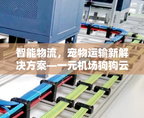 智能物流,宠物运输新解决方案—一元机场狗狗云机场 智能物流,宠物运输新解决方案—一元机场狗狗云机场