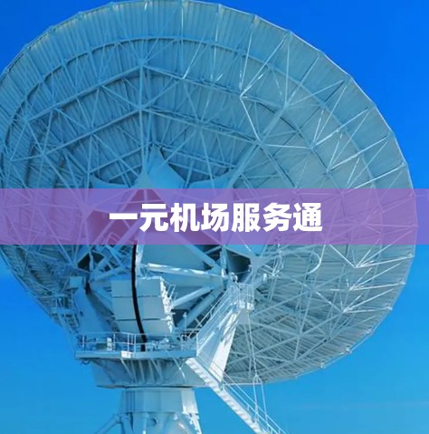 一元机场服务通