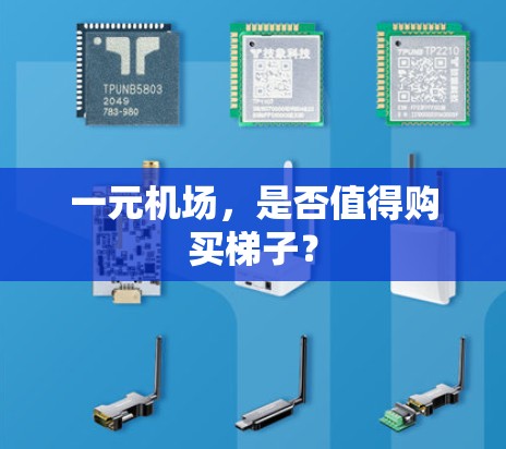 一元机场,是否值得购买<strong>梯子</strong>?
