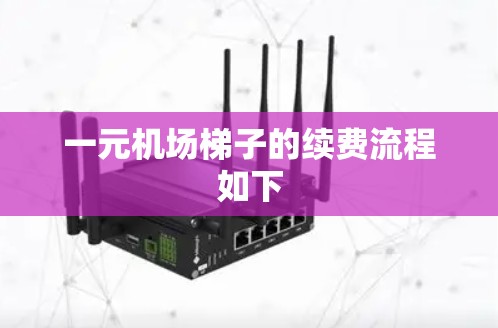 一元机场<strong>梯子</strong>的续费流程如下