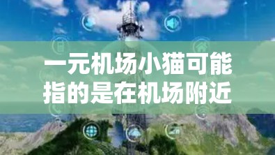 一元机场小猫可能指的是在机场附近举办的一些宠物活动或展览。以下是一些可能的活动和信息，供参考