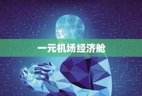 一元机场经济舱