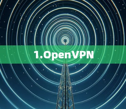 1.OpenVPN 1.OpenVPN