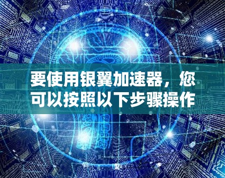 要使用银翼加速器,您可以按照以下步骤操作 要使用银翼加速器,您可以按照以下步骤操作