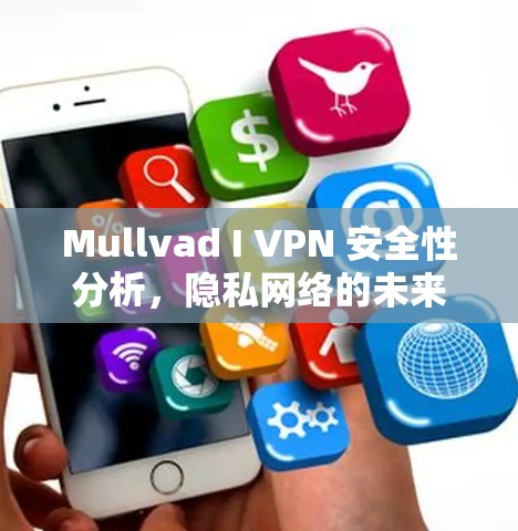 Mullvad I VPN 安全性分析，隐私网络的未来选择