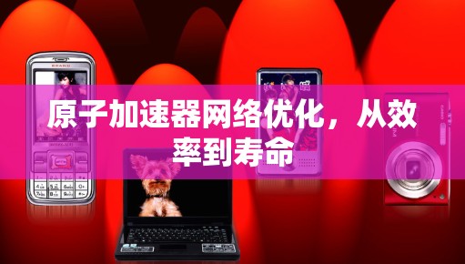 原子加速器网络优化,从效率到寿命 原子加速器网络优化,从效率到寿命