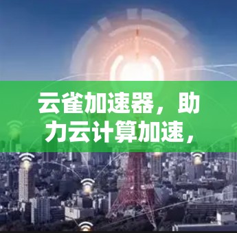 云雀加速器，助力云计算加速，助力数据流优化