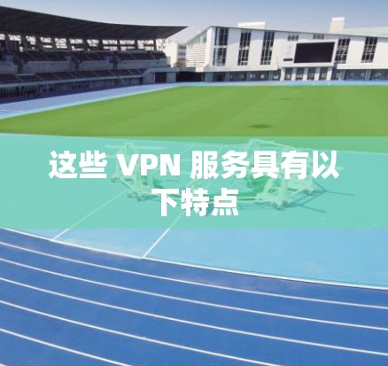 这些 VPN 服务具有以下特点 这些 VPN 服务具有以下特点