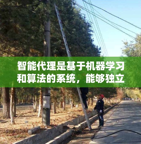 智能代理是基于机器学习和算法的系统,能够独立学习并执行复杂任务,如游戏和机器人控制。以下是其详细分析 智能代理是基于机器学习和算法的系统,能够独立学习并执行复杂任务,如游戏和机器人控制。以下是其详细分析
