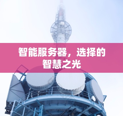 智能服务器,选择的智慧之光 智能服务器,选择的智慧之光