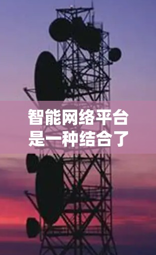 智能网络平台是一种结合了人工智能和网络技术的系统，旨在提供动态、个性化和高效的信息搜索服务。以下是对该领域的一些详细分析