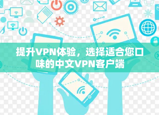 提升VPN体验,选择适合您口味的中文VPN客户端