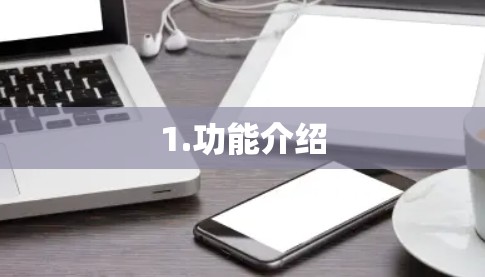 1.功能介绍