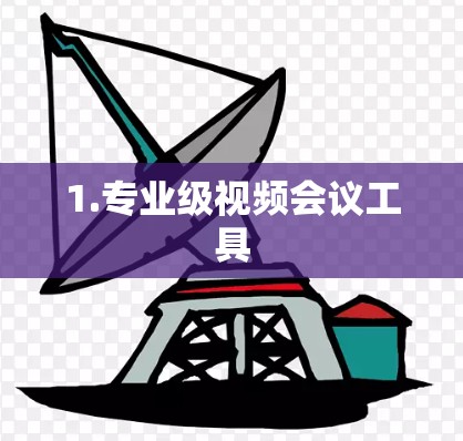1.专业级视频会议工具