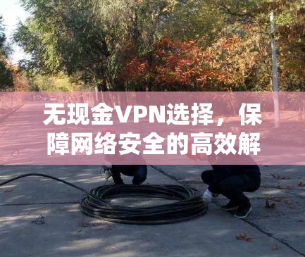无现金VPN选择,保障网络安全的高效解决方案