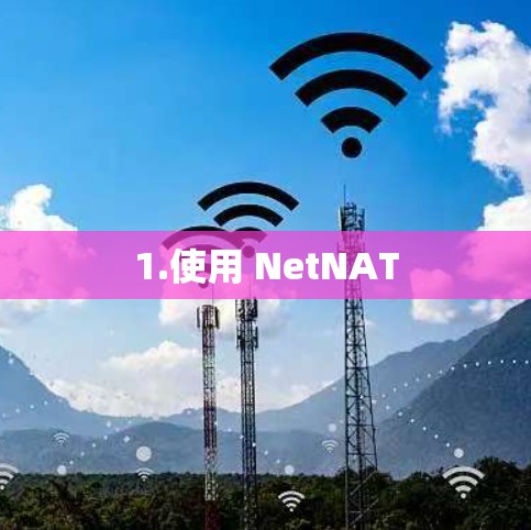1.使用 NetNAT