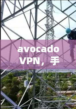 avocado VPN,手机端安全防护新标准