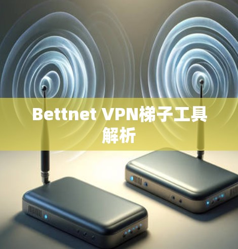 Bettnet VPN<strong>梯子</strong>工具解析