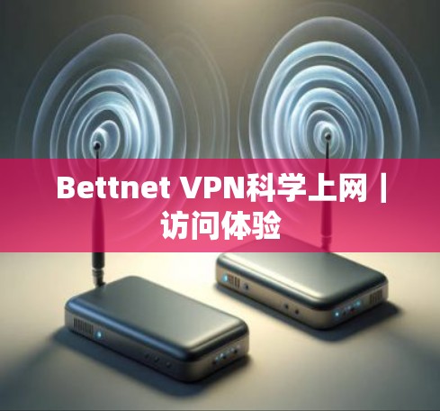 Bettnet VPN<strong>科学上网</strong>|访问体验