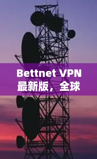 Bettnet VPN最新版,全球领先的VPN服务,安全、高效、便捷,为你的网络保驾护航!