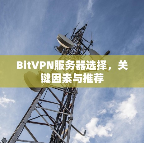 BitVPN服务器选择,关键因素与推荐