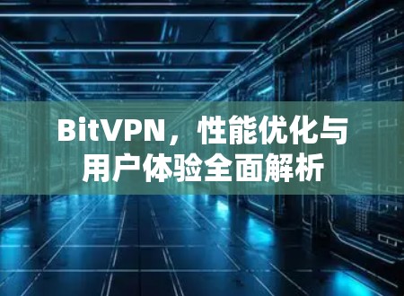 Bit<strong>VPN</strong>，性能优化与用户体验全面解析