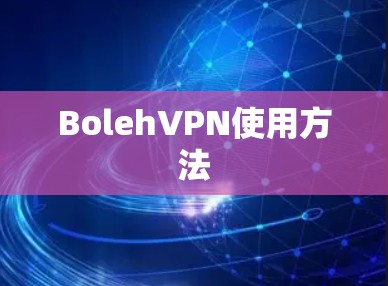 BolehVPN使用方法