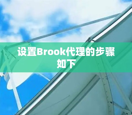 设置Brook代理的步骤如下