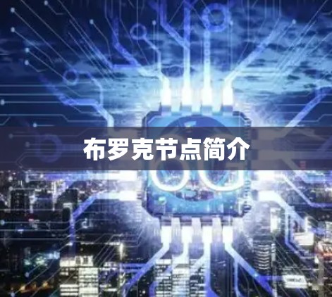 布罗克节点简介